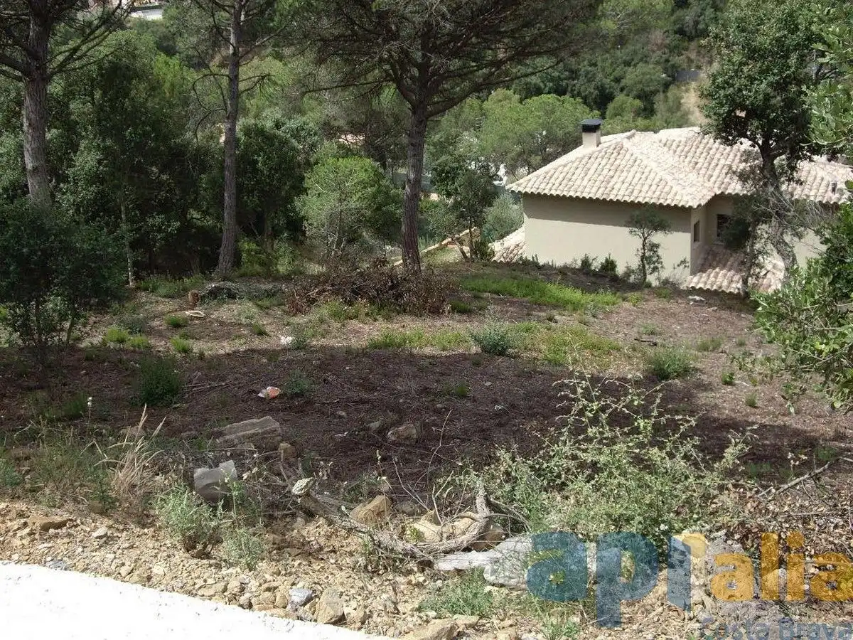 Residential land for sale in Carrer Alzina, imagen 3
