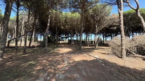 Foto 2 de Terreno en venta en Las Lagunas - Campano, Cádiz