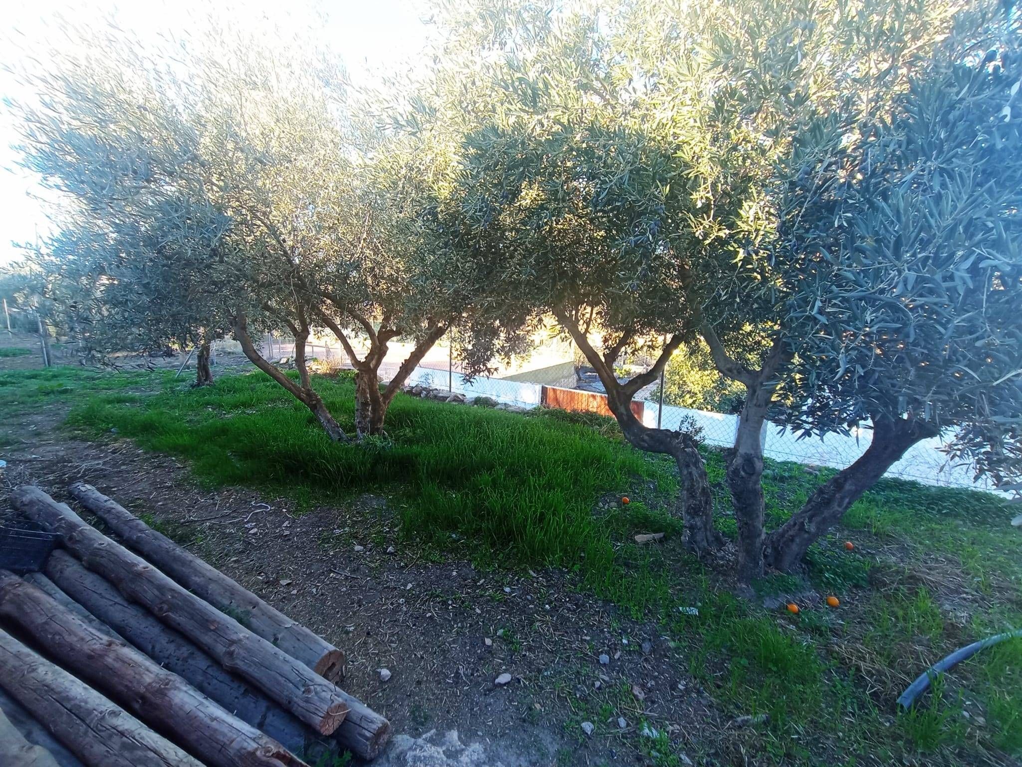 Garten von Residential zum verkauf in Dalías