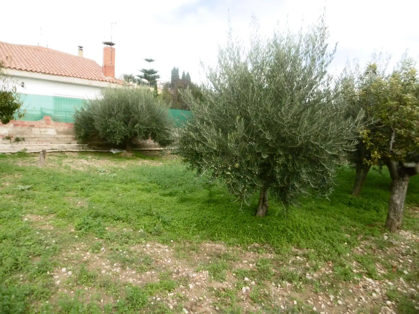 Terreno rustico in vendita a Piera, imagen 5
