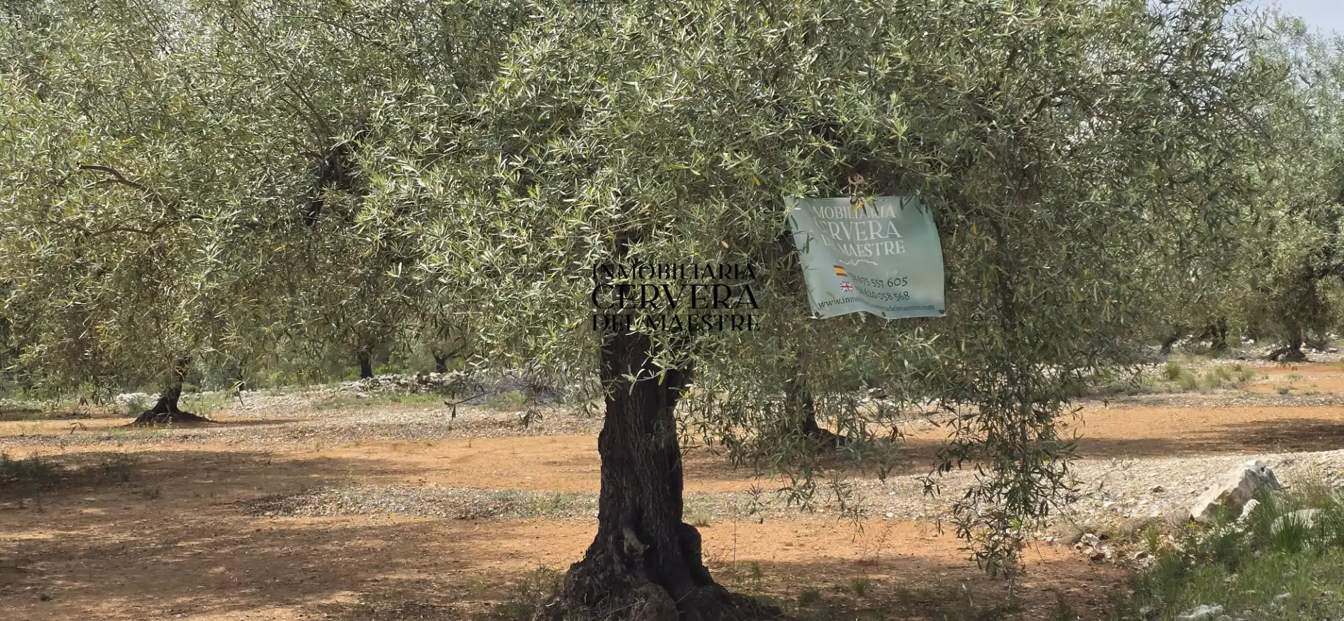 Terreno rustico in vendita a Cervera del Maestre, imagen 13