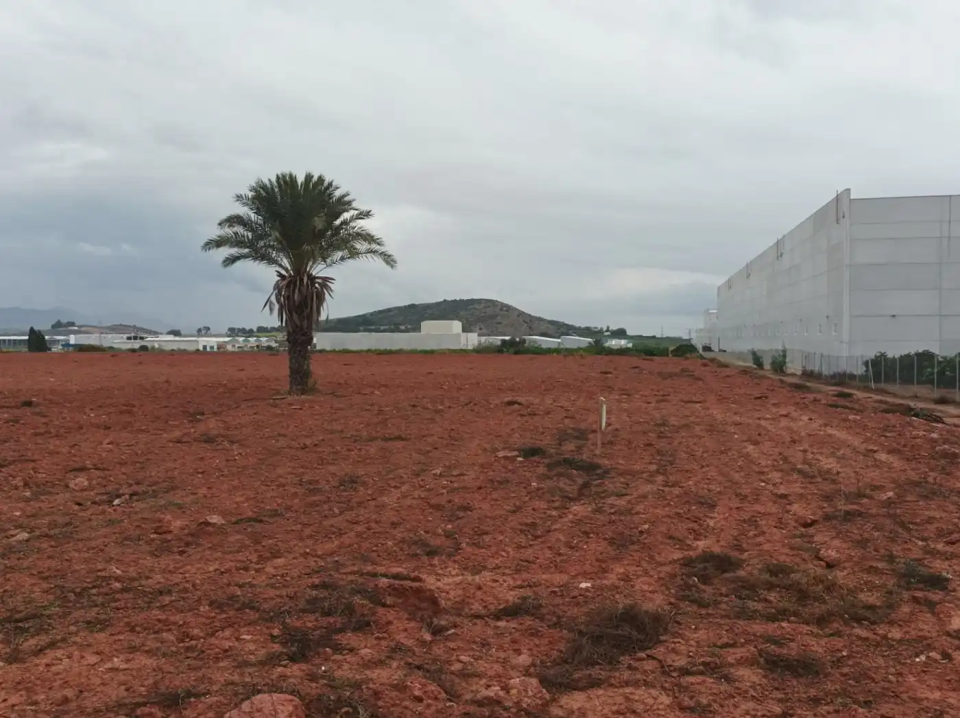 Residential land for sale in Fortuna