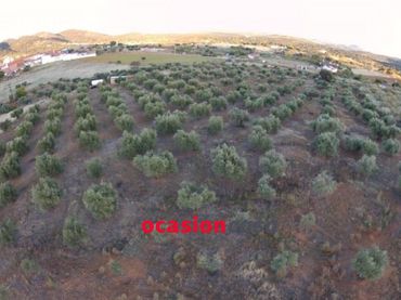 Terreno residencial en venta en Belmez