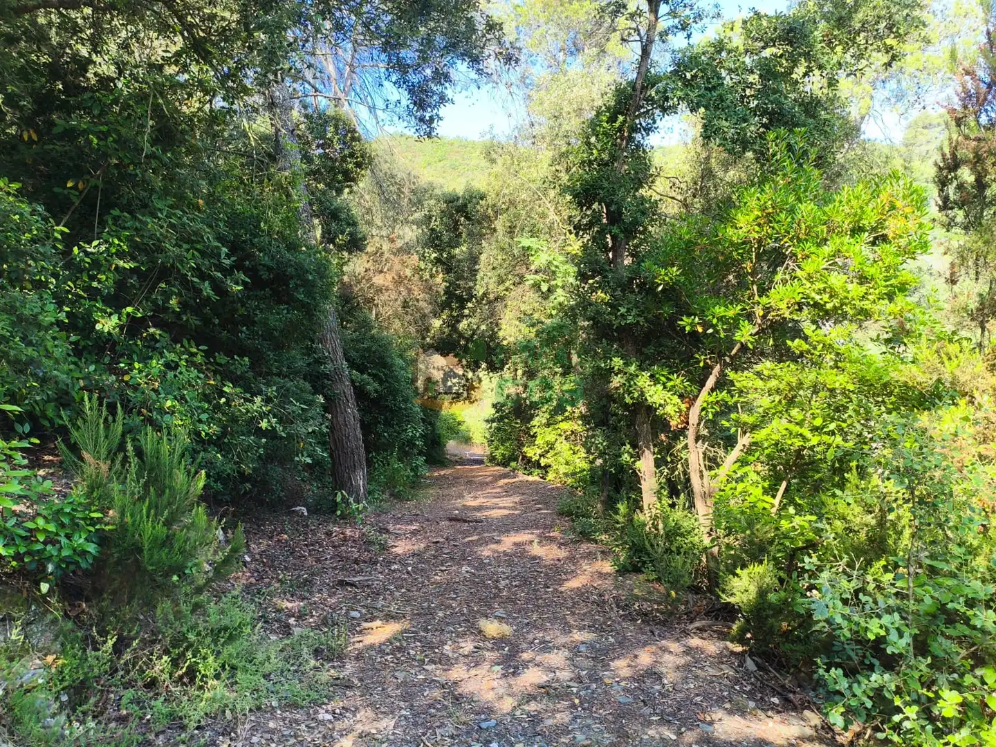 Vista exterior de Casa o xalet en venda en Sant Cugat del Vallès amb Jardí privat, Terrassa i Balcó