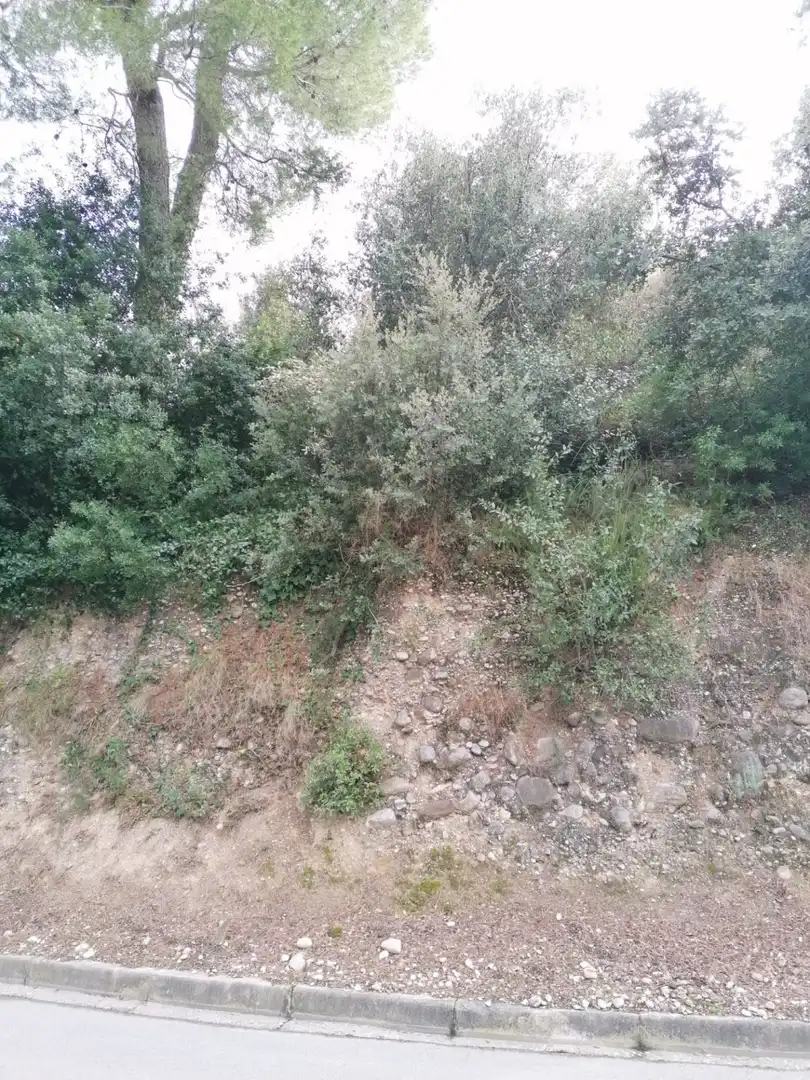 Grundstücke und Bauplätze zum Verkauf in Piera, imagen 8