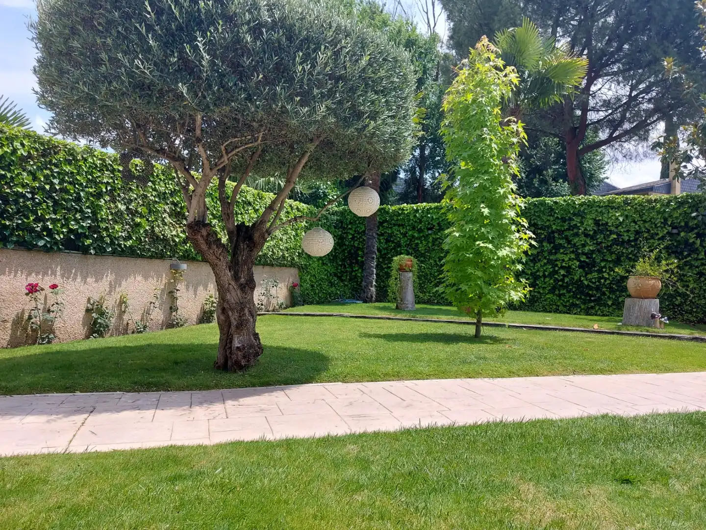 Jardín de Casa o chalet en venta en Villalbilla con Jardín privado, Terraza y Trastero