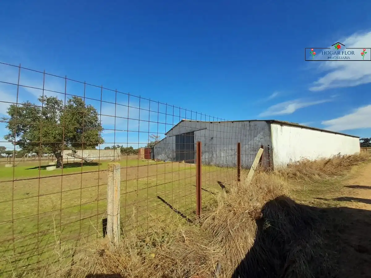 Finca rústica en venta en Carrascal del Obispo