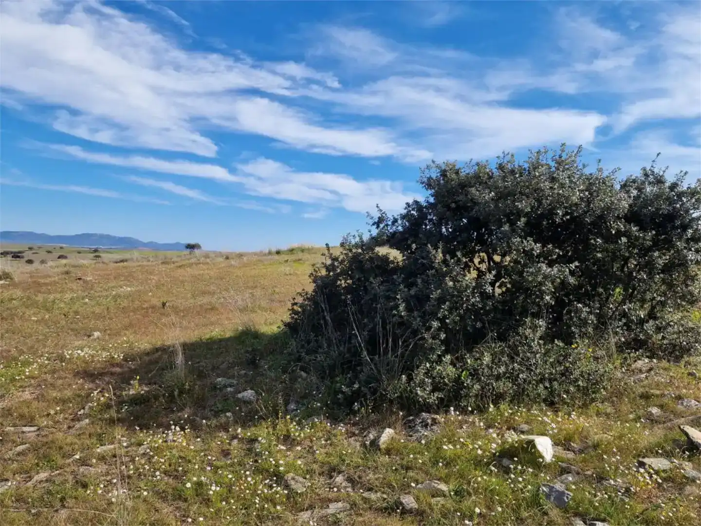 Land for sale in La Coronada, Badajoz