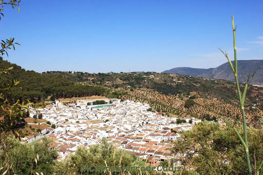Vista exterior de Finca rústica en venta en Montecorto