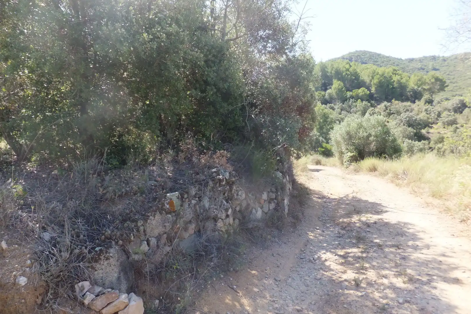 Land for sale in Alforja