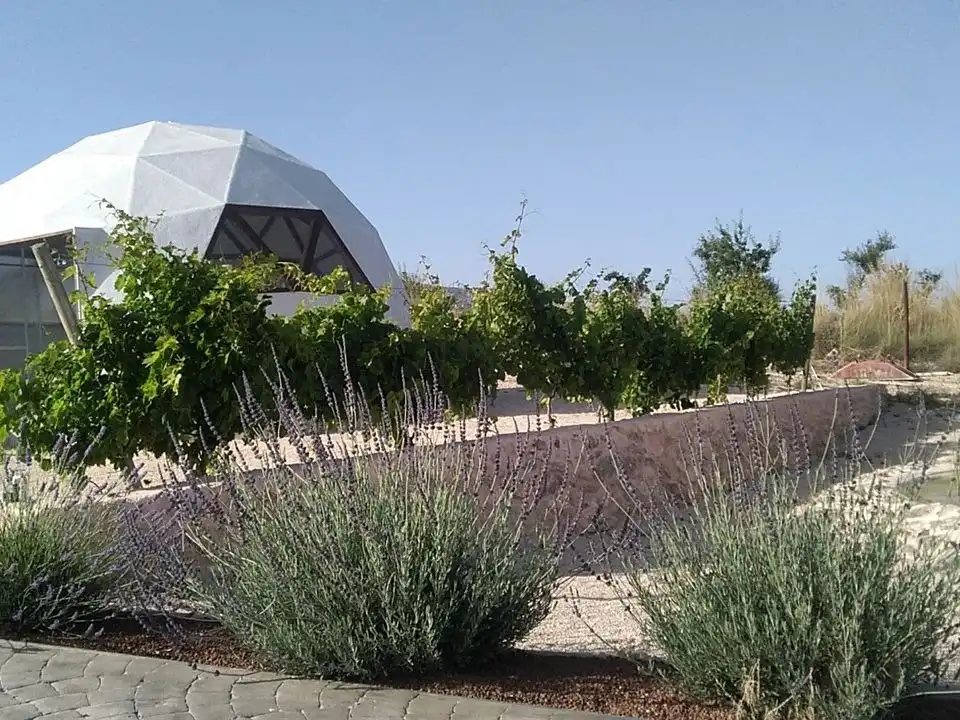 Villa avec piscine à vendre à El Pinós / Pinoso, imagen 10