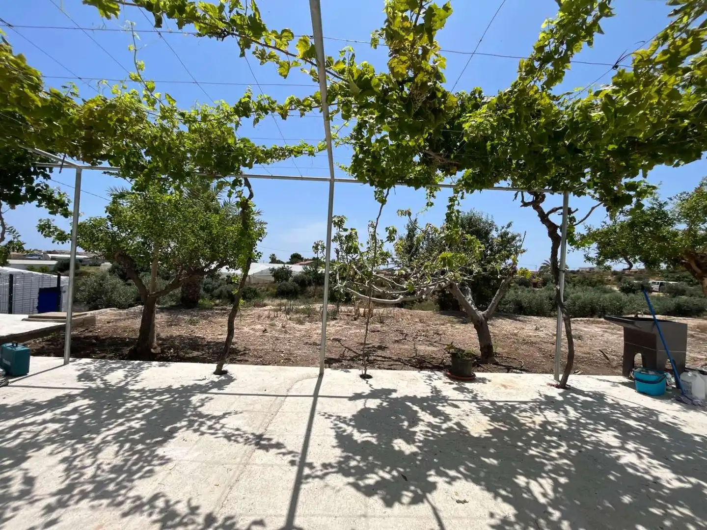 Finca rústica de alquiler en Palomares