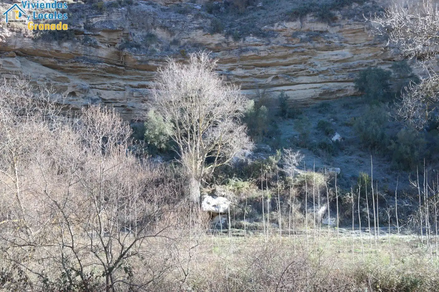 Terreni e lotti in vendita a Alhama de Granada, imagen 26