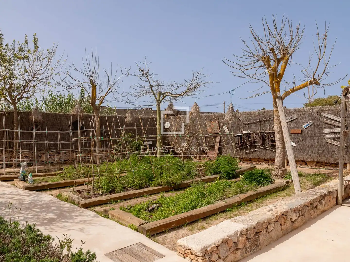 Villa avec piscine à vendre à Formentera, imagen 17