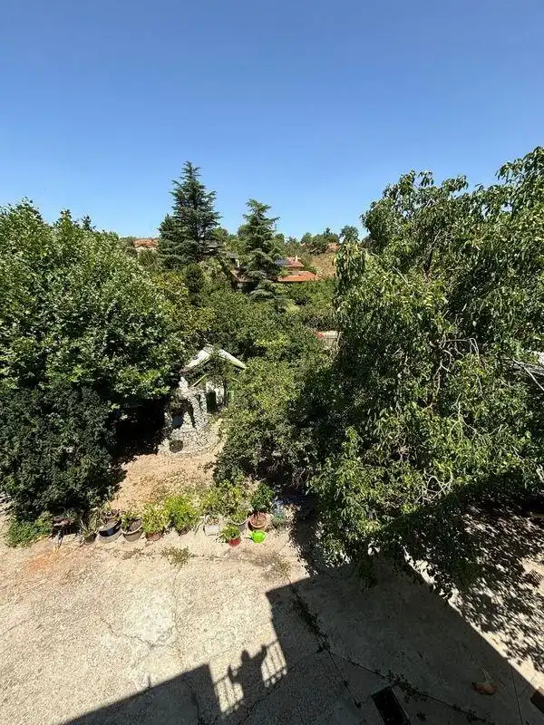 Jardí de Casa o xalet en venda en Valladolid amb Traster i Piscina comunitària