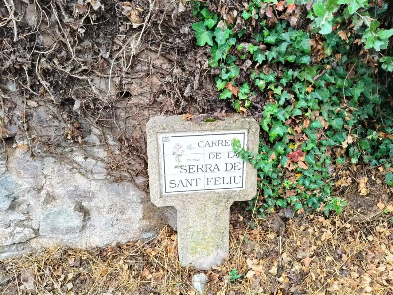 Wohnbaugrundstück zum Verkauf in Carrer Serra de Sant Feliu, 44, 08211 Castellar del Vallès, Barcelona, Spain 44, imagen 12