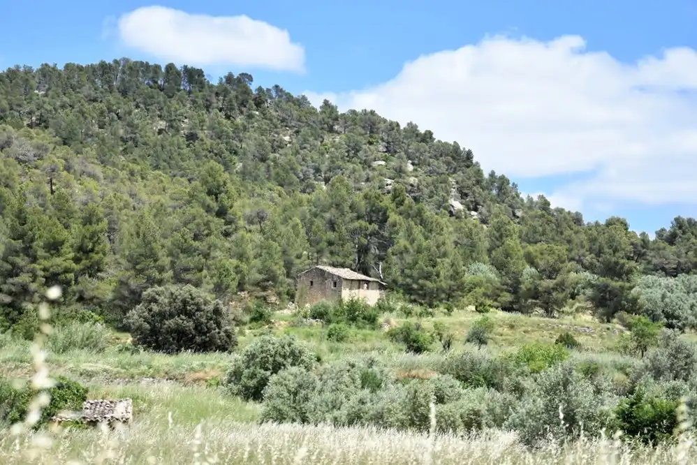 Finca rústica en venda en Valderrobres