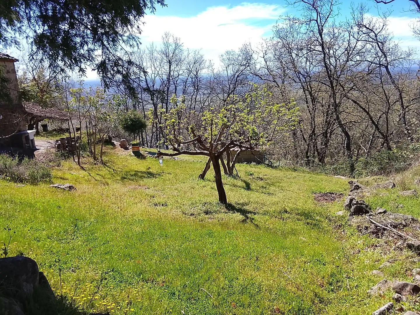 Terreni e lotti in vendita a Candeleda, imagen 58