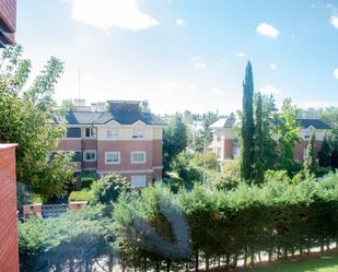 Vista exterior de Casa o xalet de lloguer en  Madrid Capital amb Aire condicionat, Jardí privat i Parquet