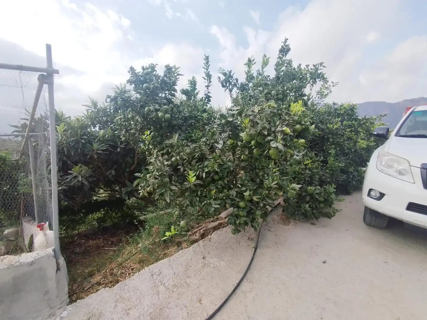 Casa rústica con terraza en venta en Camino Guájar-Faragüit, imagen 84