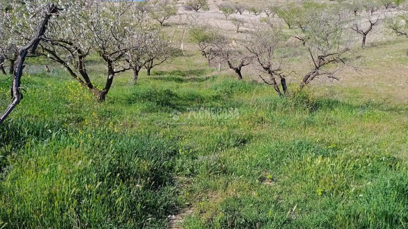 Terreny en venda en Gójar