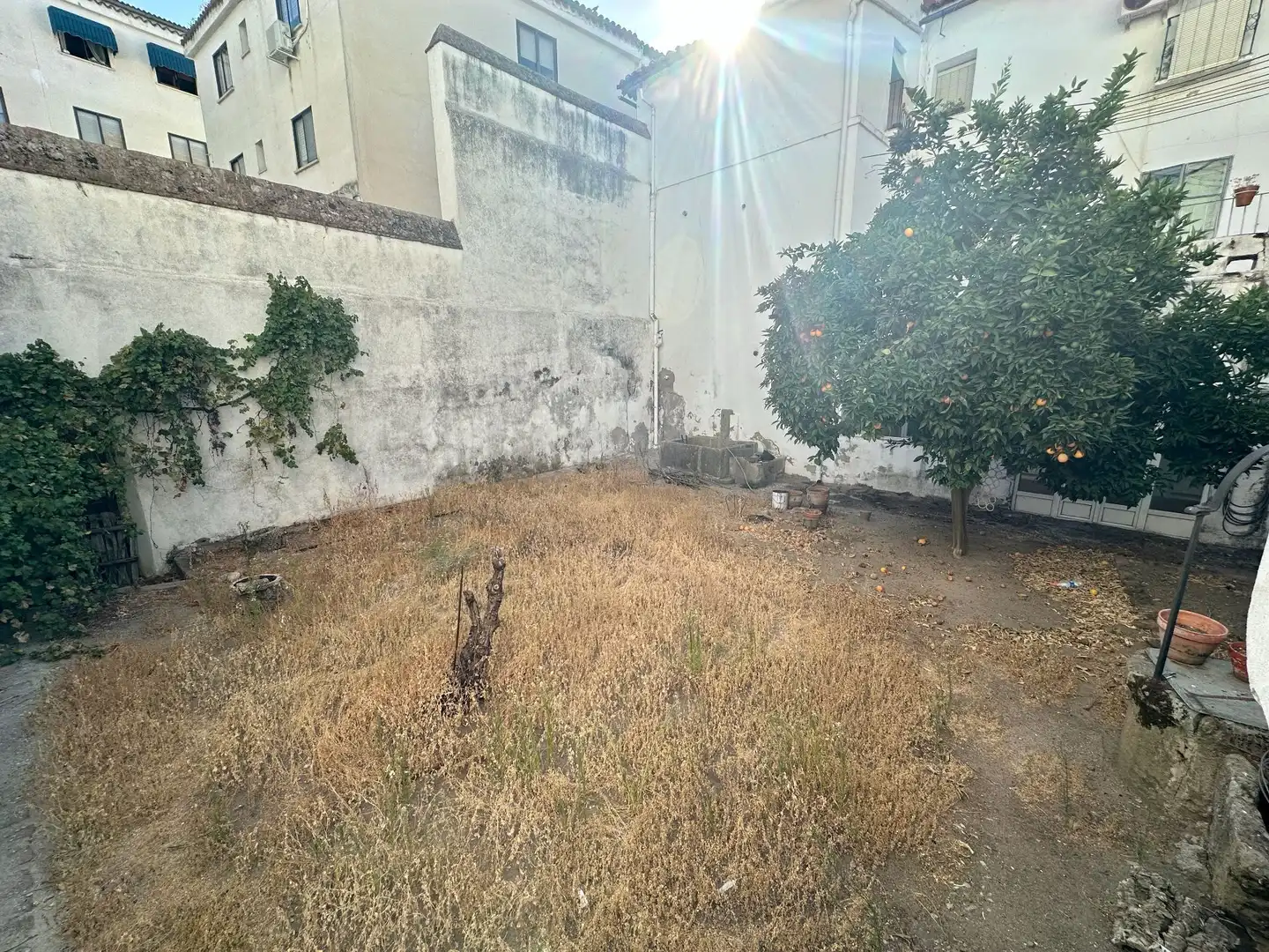 Casa en venta en Centro Ciudad, imagen 5