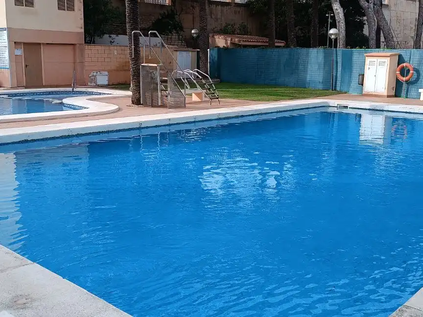 Swimming pool of Apartments for rent in El Campello  with Air Conditioner, Heating and Parquet flooring