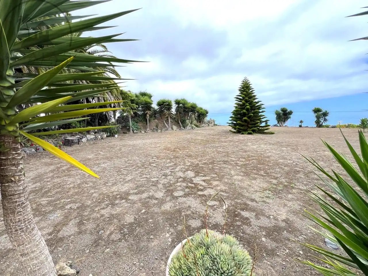 Maison rustique avec jardin à vendre à La Vega - El Amparo - Cueva del Viento, imagen 20