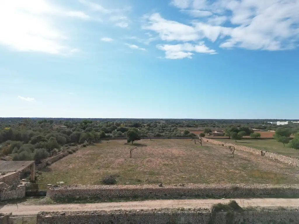 Casa rústica con piscina en venta en Llucmajor pueblo, imagen 12