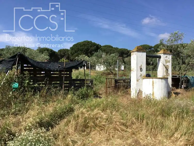 Vista exterior de Finca rústica en venda en Almonte amb Terrassa i Moblat