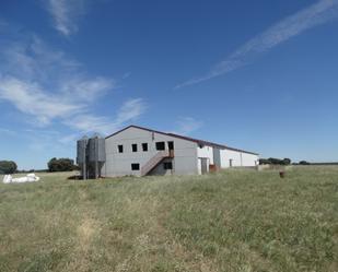 Exterior view of Industrial buildings for sale in Gajanejos