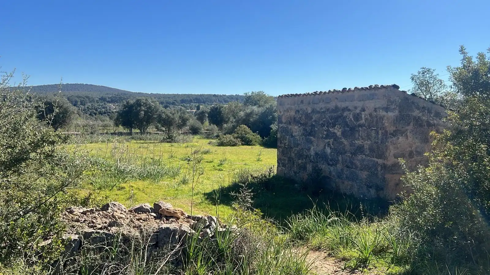 Grundstücke zum Verkauf in Marratxí, Illes Balears