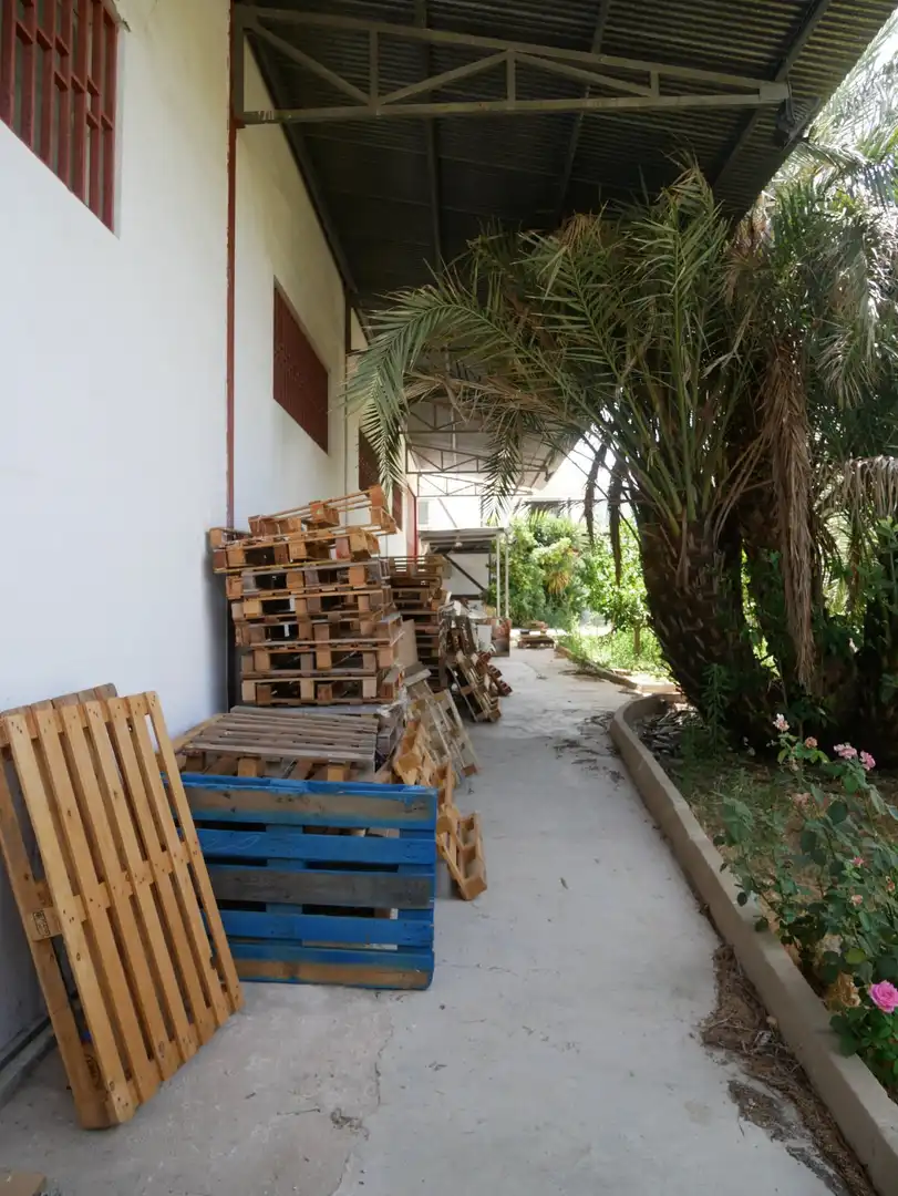Nave industrial en venta en Pedanías Este, imagen 16