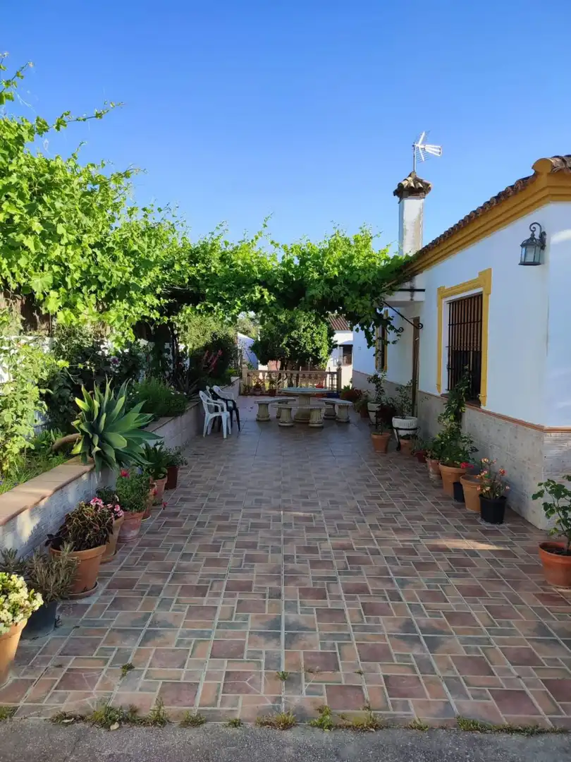 Garden of Houses for sale in Arcos de la Frontera  with Air Conditioner, Terrace and Swimming Pool