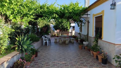 Photo 3 of Houses for sale in Arcos de la Frontera, Cádiz