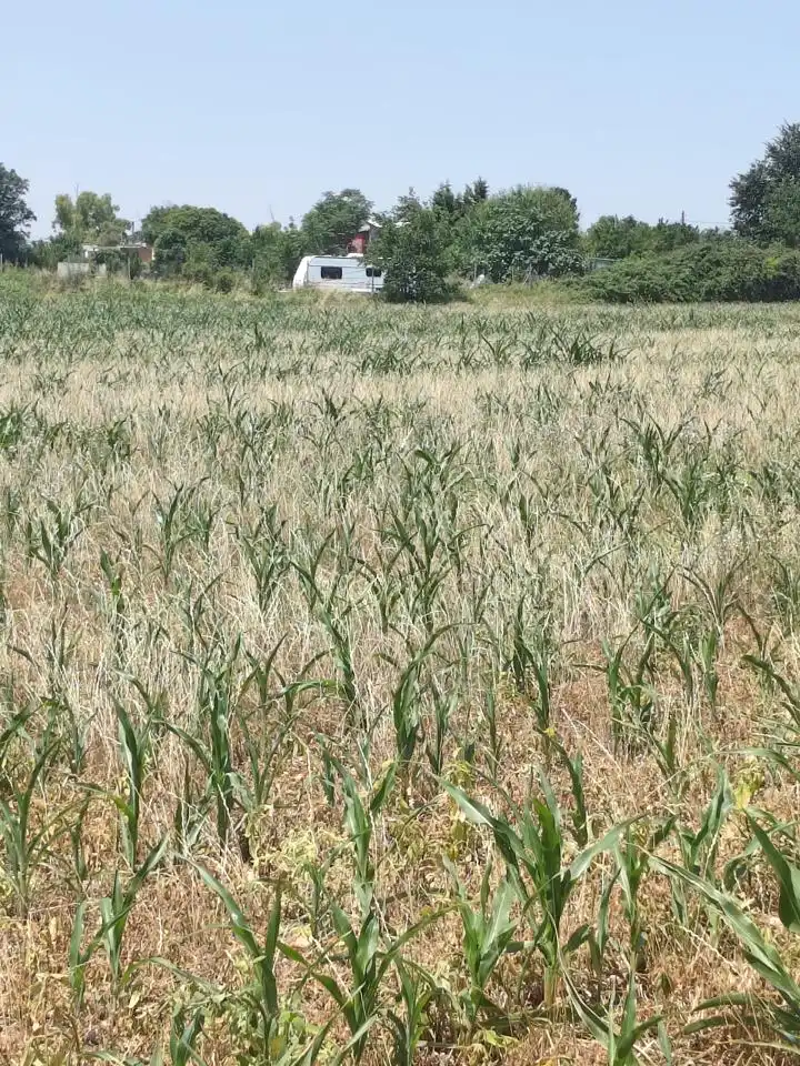 Terreni e lotti in vendita a Camino de Zamoray, imagen 5