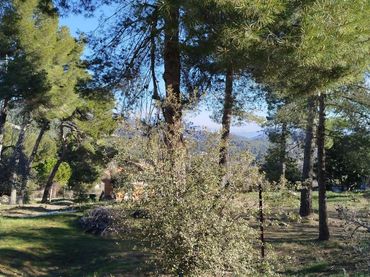 Terreny residencial en venda a Carrer de Rafael Albertí 108B