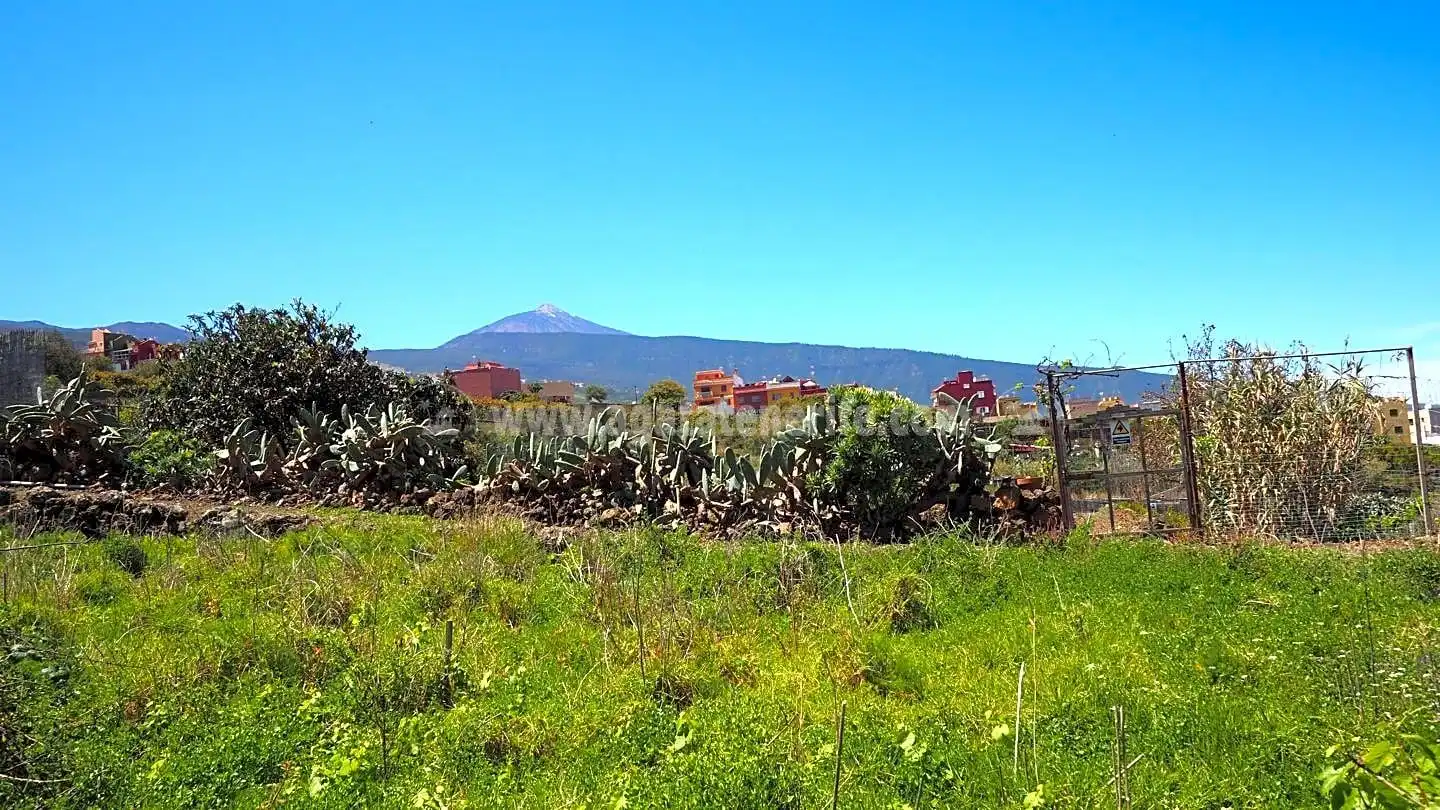 Terrenos y solares en venta en Centro, imagen 12