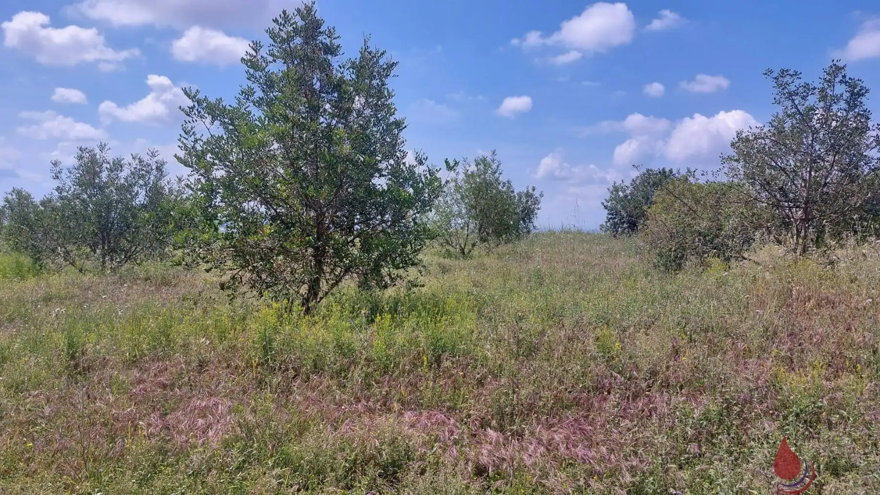 Terreno residenziale in vendita a Valls, imagen 4