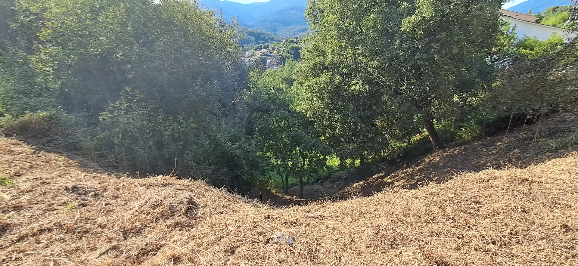 Residential land for sale in Carrer Pi Gros, imagen 12