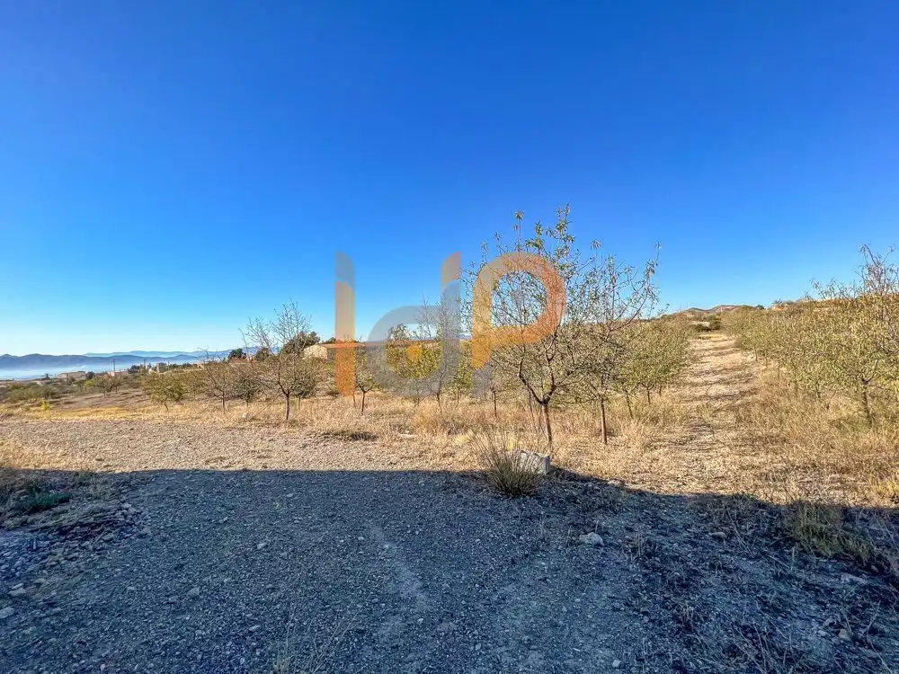 Industriegebäude zum Verkauf in Huércal-Overa, imagen 7