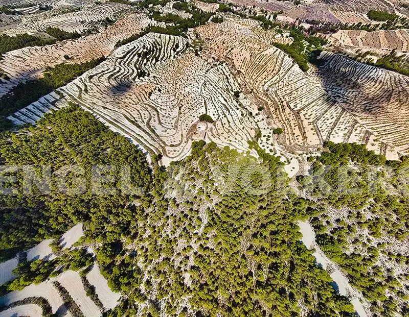 Finca rústica en venta en Jijona / Xixona