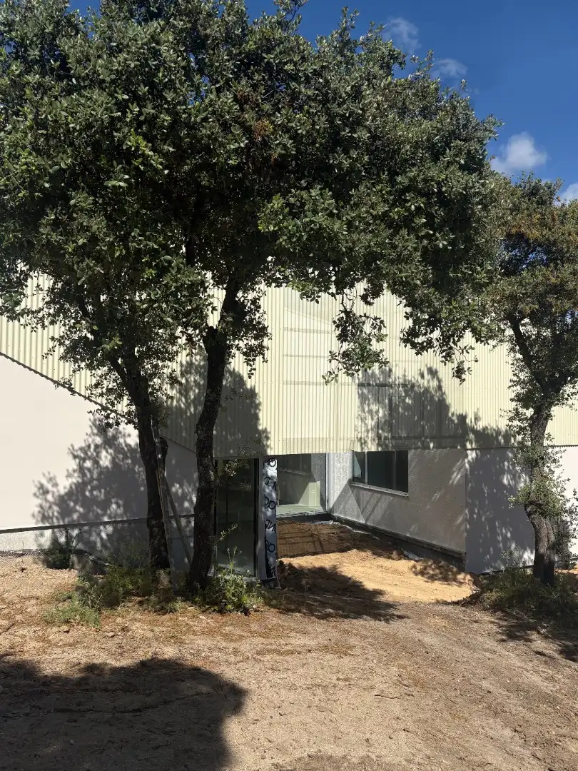 Vista exterior de Casa o xalet en venda en Boadilla del Monte amb Aire condicionat, Calefacció i Jardí privat