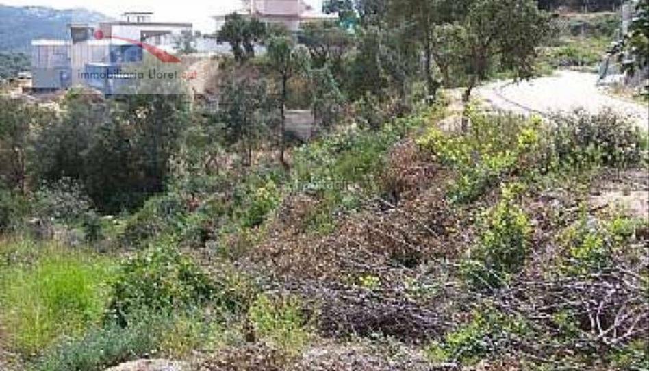 Foto 1 de Residencial en venda a Carrer Alella, 12, Lloret Verd - Els Pinars, Girona