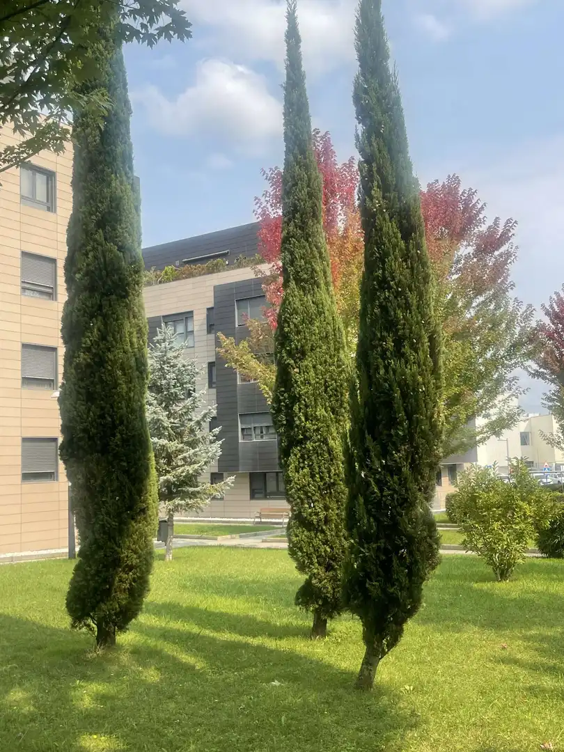 Außenansicht von Wohnung zur untervermieten in Erandio mit Klimaanlage, Heizung und Terrasse
