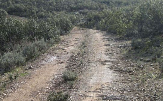 Grundstücke zum verkauf in P/ Poligono, Sevilleja de la Jara