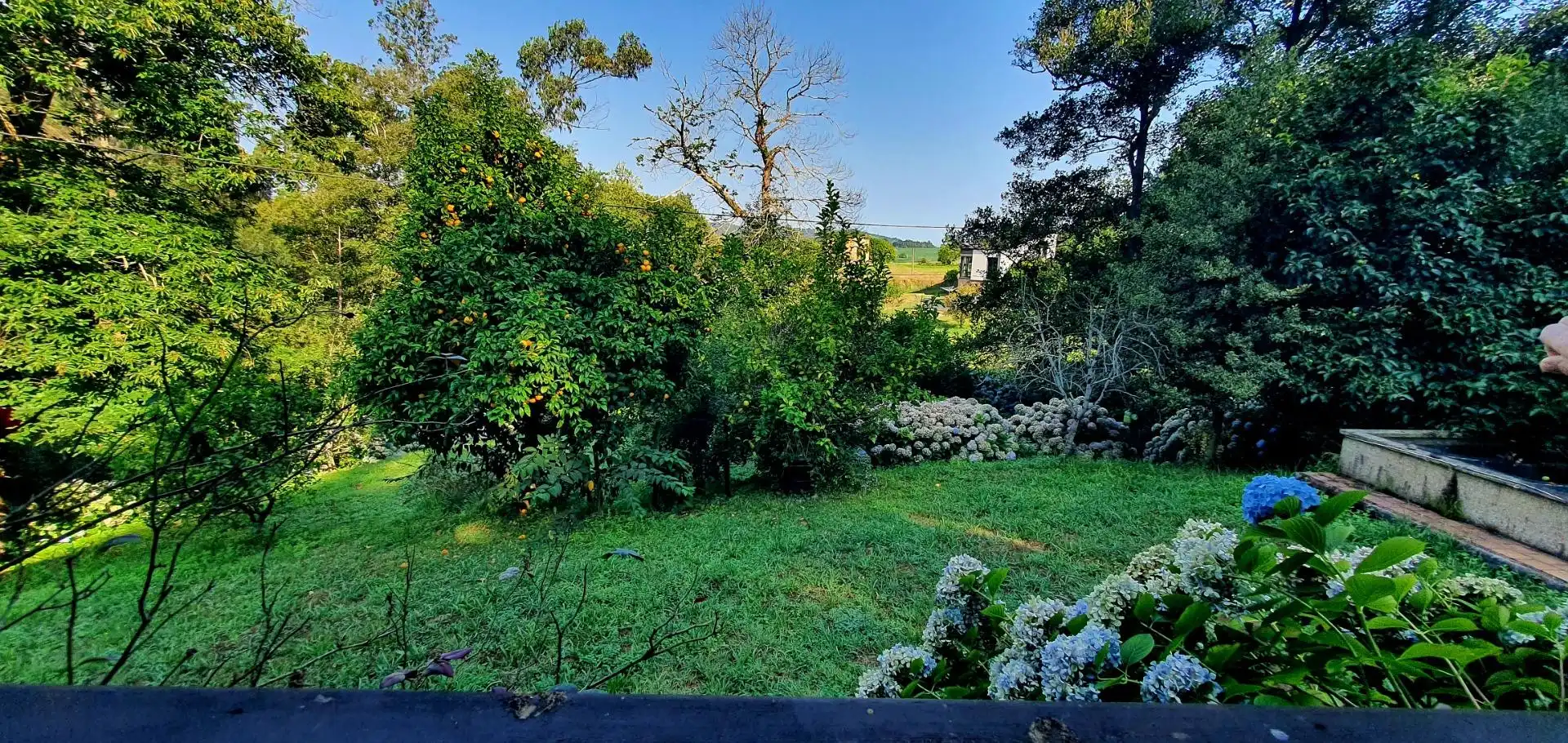 Casa o chalet en venta en Castropol con Calefacción, Jardín privado y Terraza