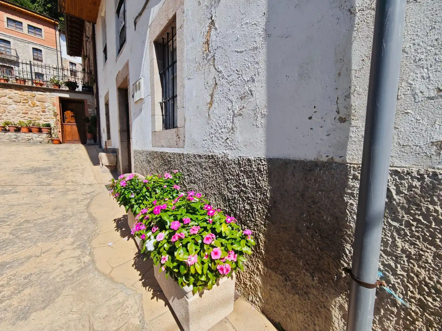 Vista exterior de Casa o chalet en venta en Peñamellera Alta