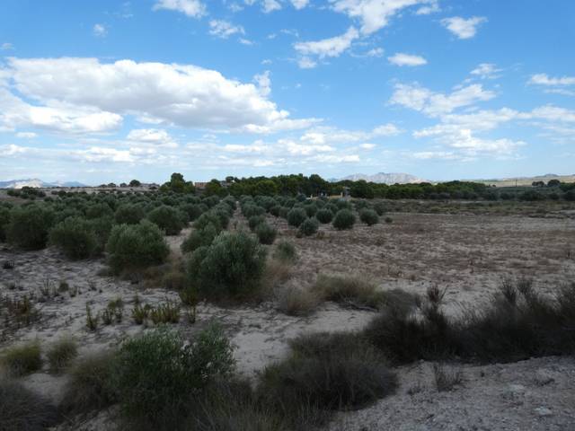Terreno en Venta en Los Valientes