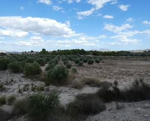 Land for sale in Molina de Segura